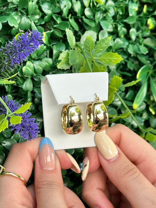 Hoops Earrings